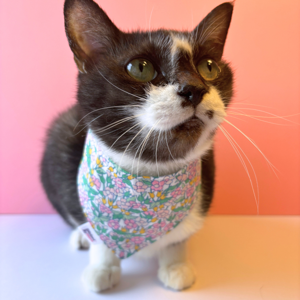 Snap & Scamper Pet Bandanas - Daydream Garden