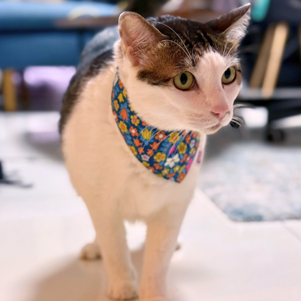 Snap & Scamper Pet Bandanas - Twilight Garden