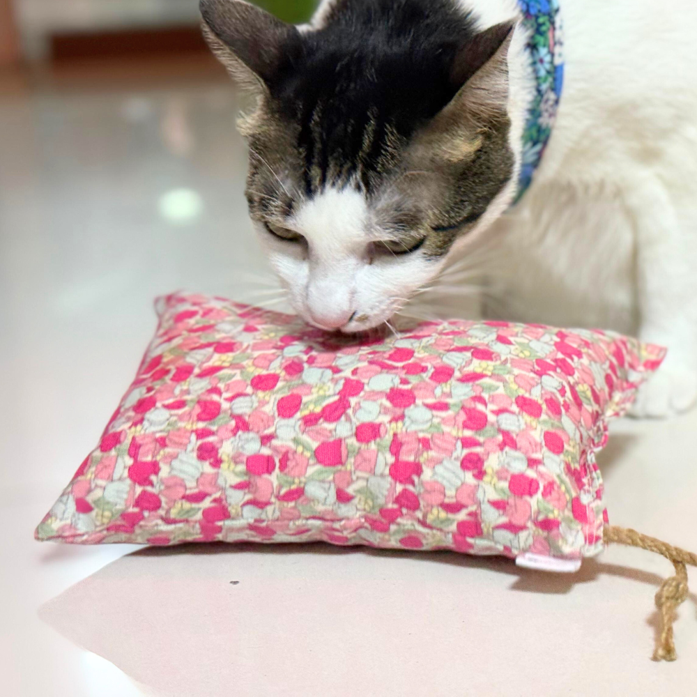 CHONKY Catnip Kicker in Canvas – Blush Petals