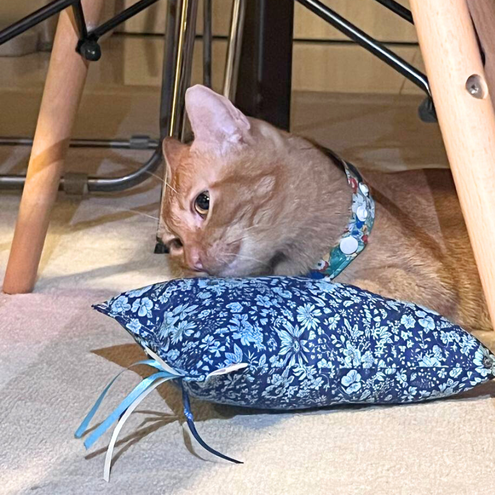 CHONKY Catnip Kicker in Cotton – Bluebell Whiskers